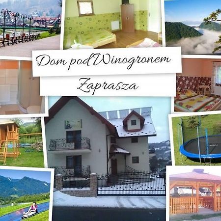 Apartmán Dom Pod Winogronem Szczawnica Exteriér fotografie